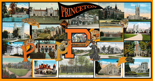 Timeless Princeton